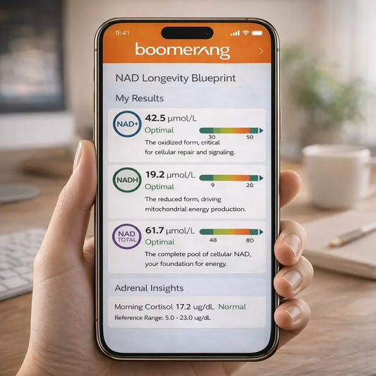 A hand holds a phone showing NAD Longevity Blueprint™ test results in the Boomerang app, with optimal NAD+, NADH, and mitochondrial energy levels for longevity biomarkers, plus normal cortisol. The Boomerang app logo appears at the top.