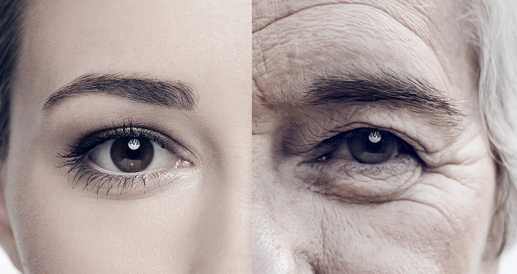 The Safety and Anti-Aging Effects of Nicotinamide Mononucleotide (NMN) in Human Trials — 2023 Update
