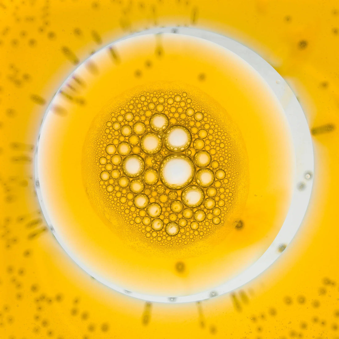 NAD+, Stacks, and Healthspan: What the Science Actually Says (and How to Use It Safely)