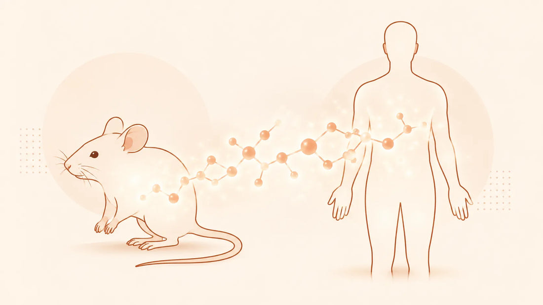 NAD+ and Longevity: What's Actually Proven in Humans (and What's Still a Mouse Study)