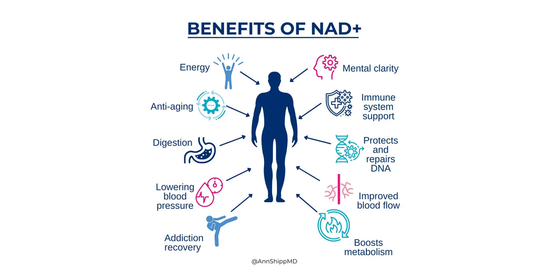 Benefits of NAD⁺ Therapy