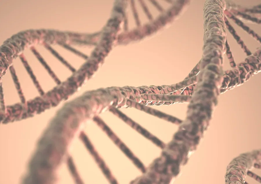 Close-up view of three intertwined DNA double helix strands, shown in a soft pinkish hue with a blurred background.